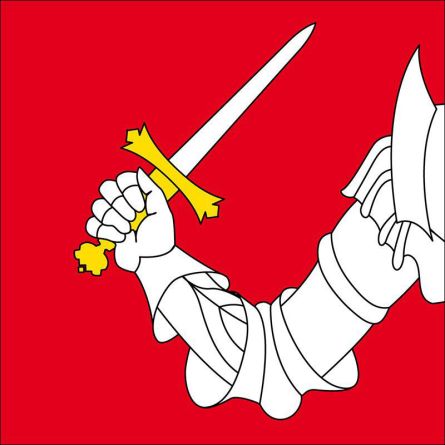 Riva San Vitale flag